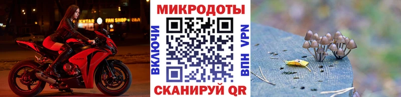 как найти наркотики  Сокол  Псилоцибиновые грибы прущие грибы 